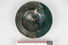 Foto von Bronzephalere (NHMW-PRAE-025835)